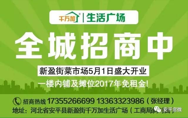 清苑县人力资源和社会保障局最新招聘信息详解